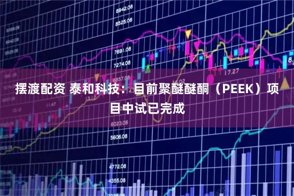 摆渡配资 泰和科技：目前聚醚醚酮（PEEK）项目中试已完成