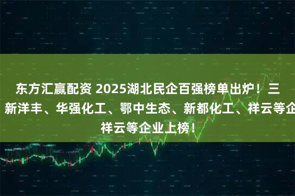 东方汇赢配资 2025湖北民企百强榜单出炉！三宁化工、新洋丰、华强化工、鄂中生态、新都化工、祥云等企业上榜！