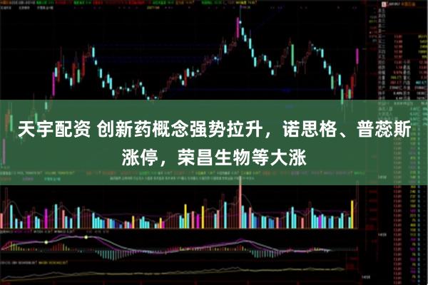 天宇配资 创新药概念强势拉升，诺思格、普蕊斯涨停，荣昌生物等大涨